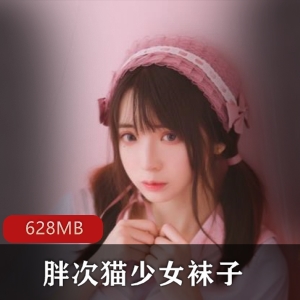 虎牙网红小洛丽视频资源合集628MB